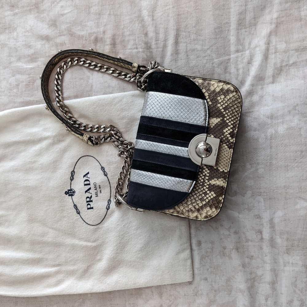 Prada Python & Ayers Arcade Bag - image 3